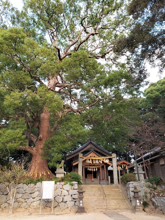 20201203_163335 - コピー.jpg