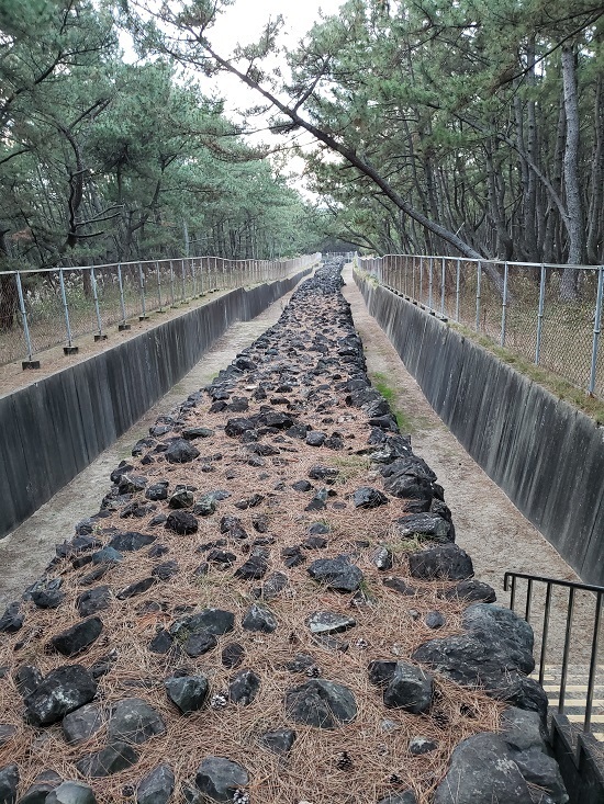 20201203_170416 - コピー.jpg