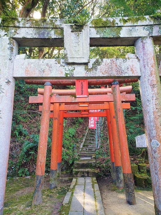 20210125_115042 - コピー.jpg