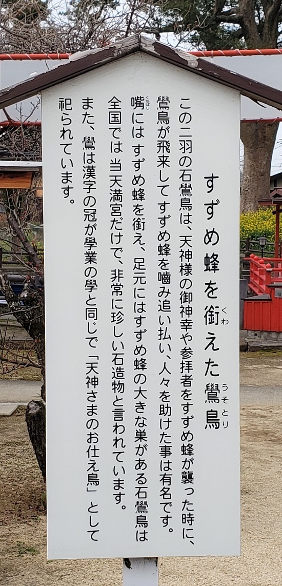 20210304_111615 - コピー.jpg