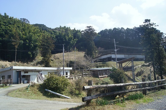 DSC03442 - コピー.JPG