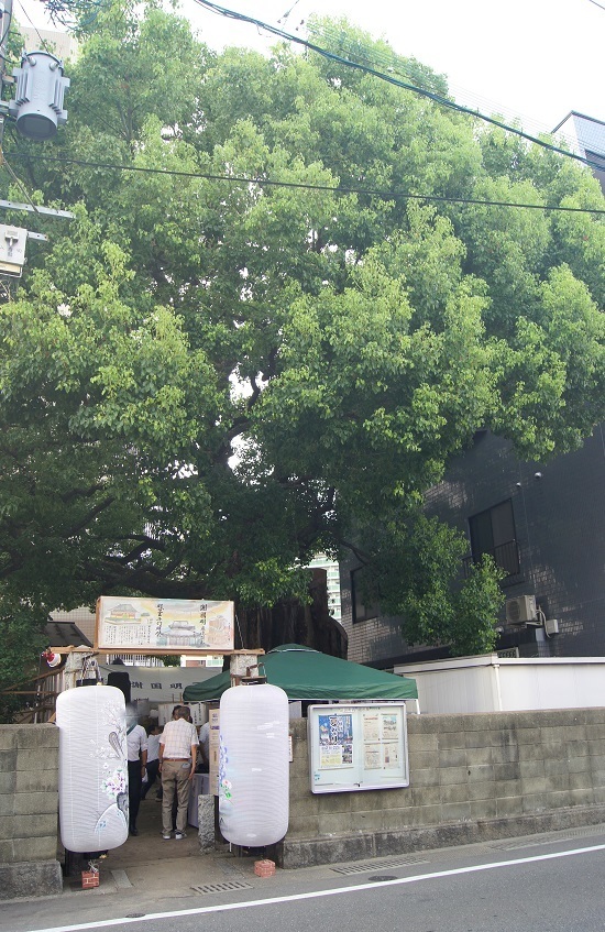 DSC06759 - コピー.JPG