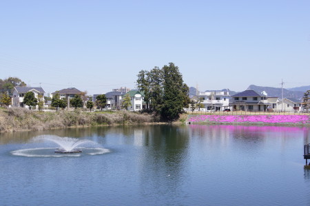 三兼池公園_1.jpg