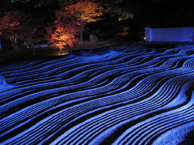 承天寺ライティング2014_1.jpg