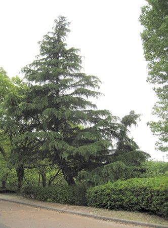 春日公園 3_1.jpg