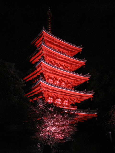 東長寺ライティング2014_1.jpg