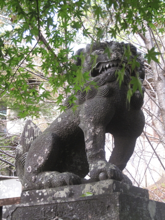 菊池神社6.jpg