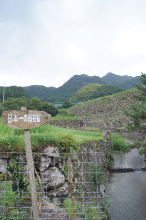 蕨野の棚田2_1_1.jpg