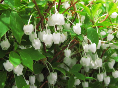 香椎201304164_1.jpg