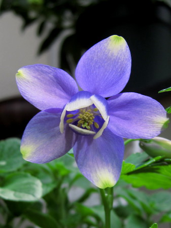 香椎201304165_1.jpg