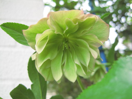 香椎201304167_1.jpg