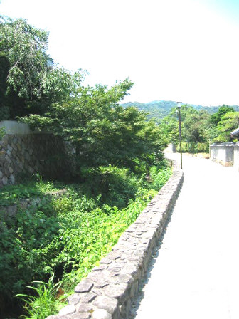 dangugawa8.jpg