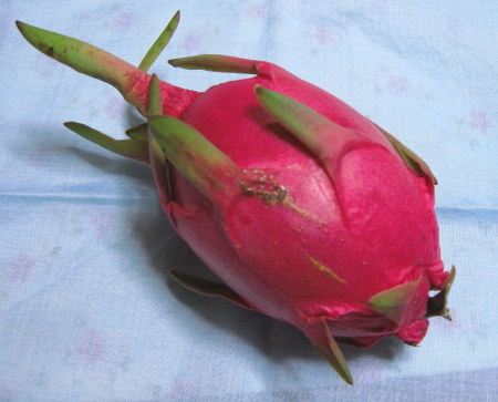 dragonfruit1.jpg