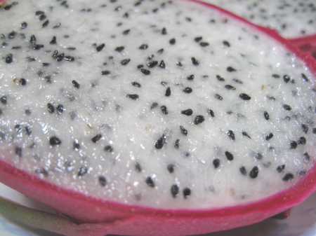 dragonfruit3.jpg