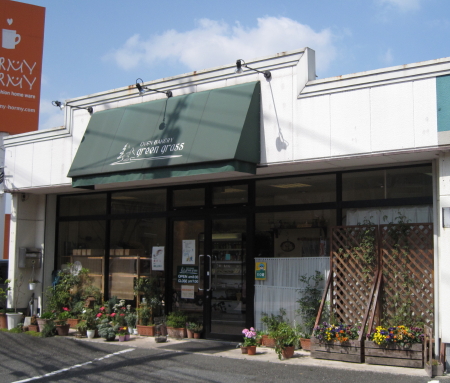 greengrass1.jpg