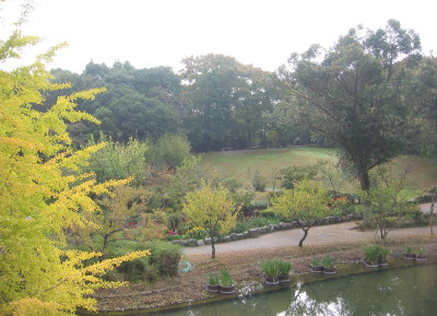 ishibashi3_3.jpg