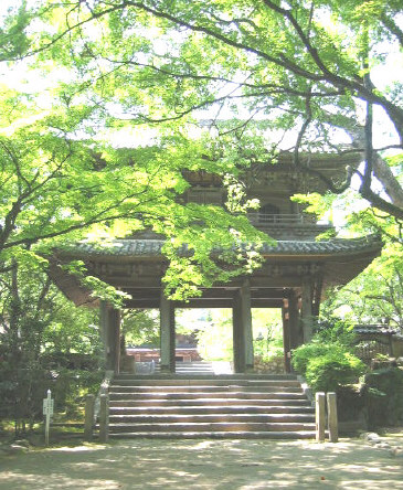 kozanji1.jpg