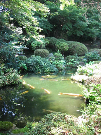 kozanji4.jpg