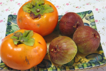 michinoekikurume2.jpg