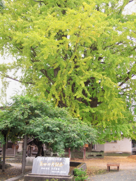 nagatanooicho1_1.jpg