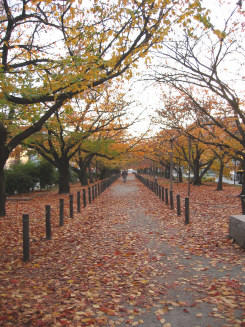 nishiharukoyo.jpg