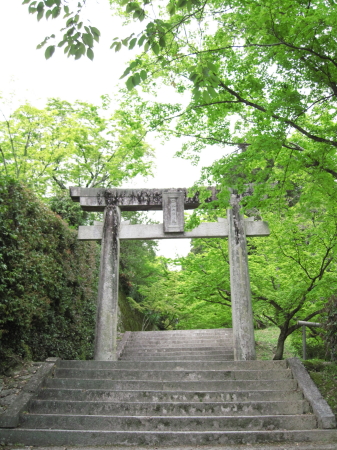 niyamajinjya1.jpg