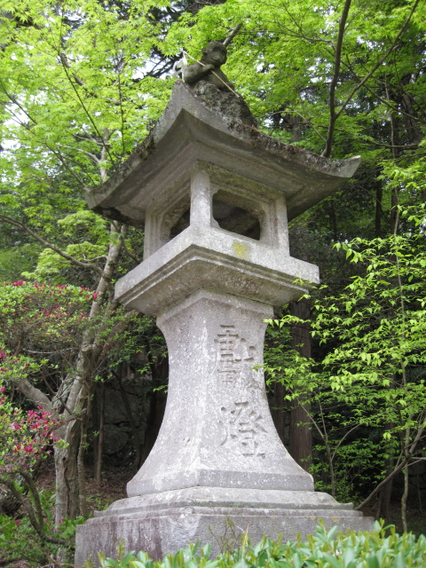 niyamajinjya12_1.jpg