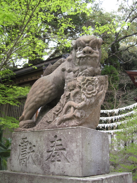 niyamajinjya7_1.jpg