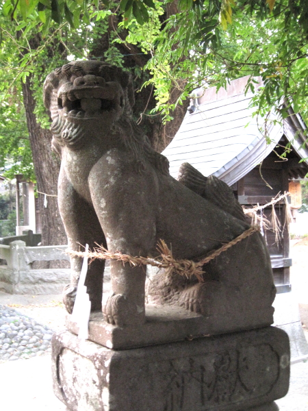oimatukoma2.jpg