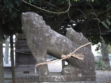 oimatukoma5_1.jpg