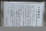 onamuchi2_7.jpg