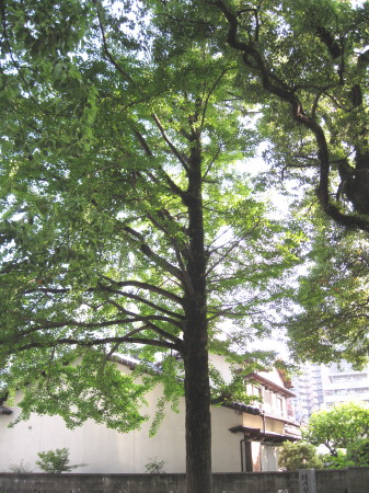 onojyojiroku12.jpg