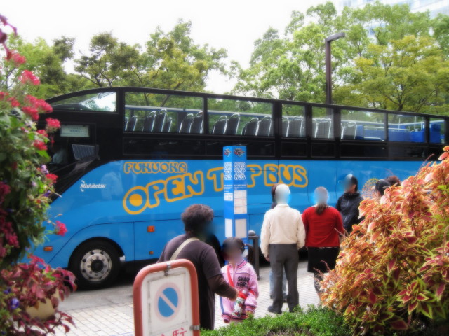 opentopbus_1_1.jpg