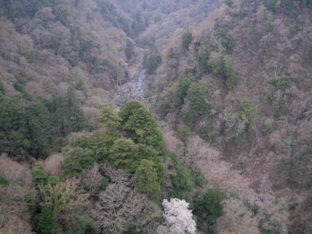 oturihashi3.jpg