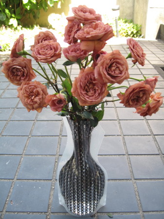 rose3.jpg