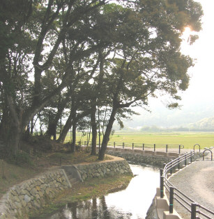 sakutajinjya4.jpg
