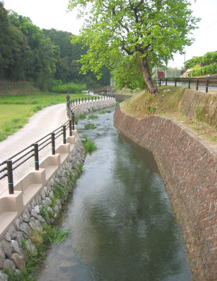 sakutajinjya5.jpg