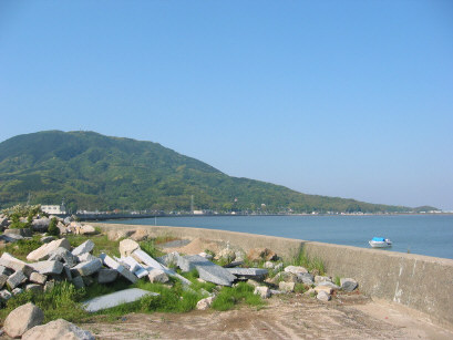 shima1.jpg