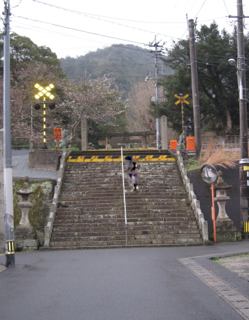 suyama1_1.jpg