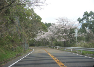 yakigome4.jpg