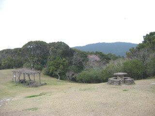 yakigome5.jpg