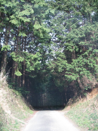 yama8_1.jpg