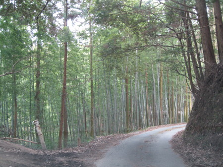 yama9.jpg