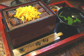 yanagawa1.jpg