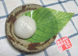 yoshinoya.jpg