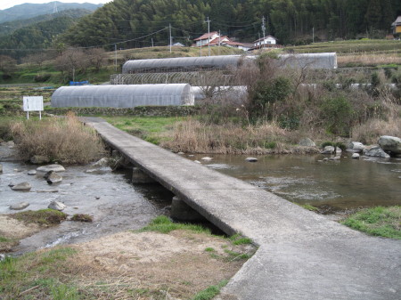 zubuiribashi1.jpg