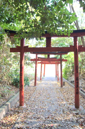 大嶽神社狛狐8_1.jpg