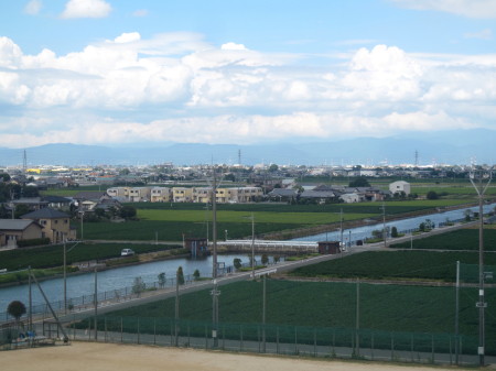 大豆_1.jpg