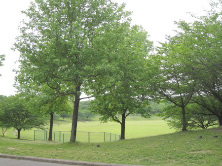 春日公園4_1.jpg
