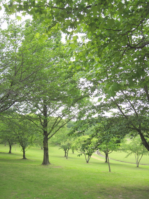 春日公園6_1_1.jpg